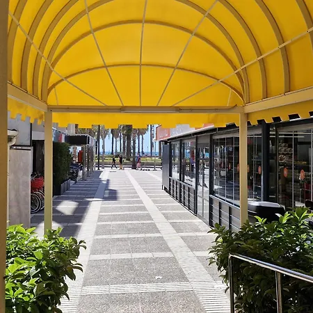 Novelty * Salou